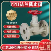 PPH加强型止回阀的工作原理